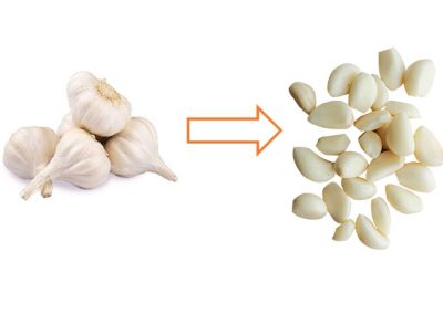 Ginger Garlic Paste Maker Machine
